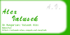 alex valusek business card